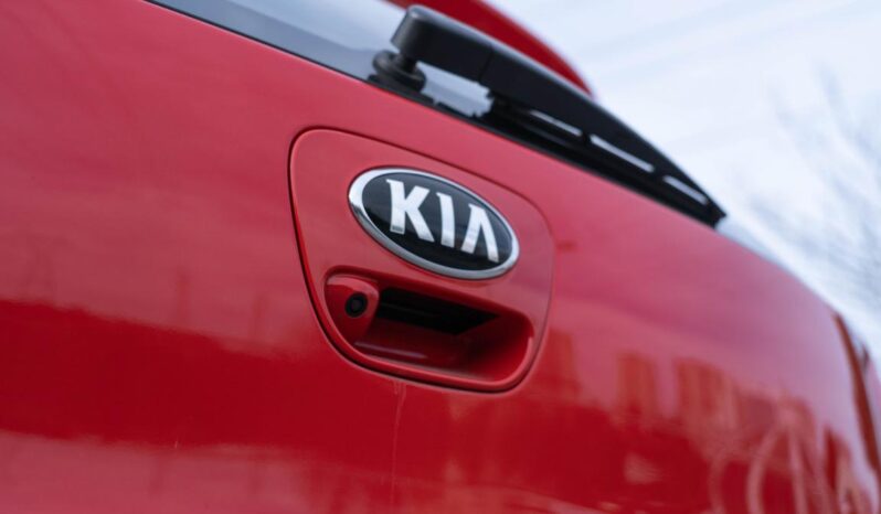
								kia picanto full									